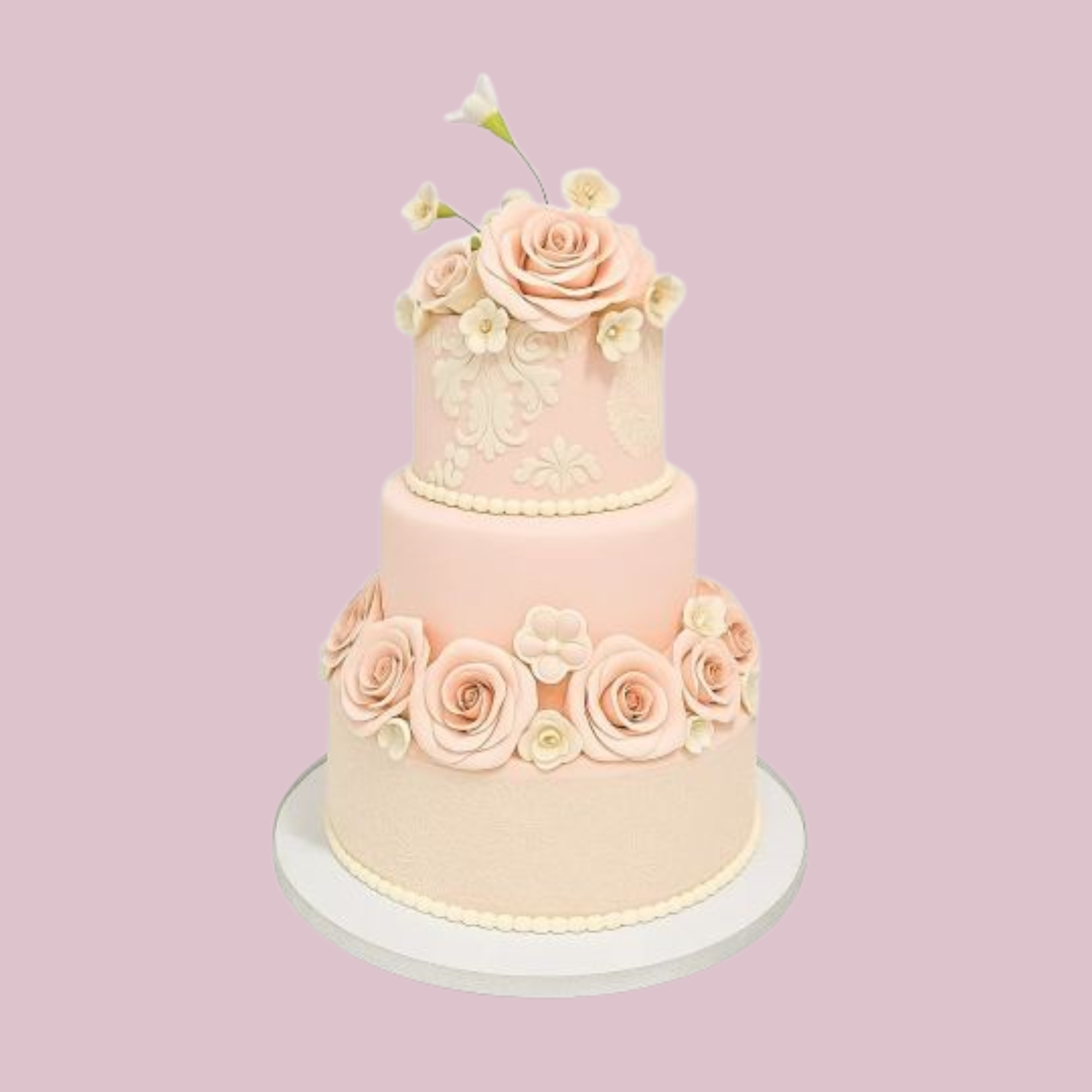 Rose Blush Dream